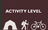 Activity Level